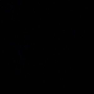 Meet your Posher, Annarae